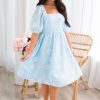 Dresses NeeSee's Dresses | The Jaceline Sheer Blue Daisy Floral